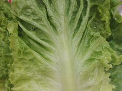 -八仙水煎牛肉(邮电小区店)