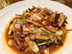 -鸽子窝(青塔店)