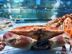 -天鹰观渔(梦园店)