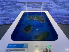 -广东科学中心