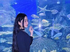 -左海海底世界