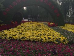 -大兴滨河森林公园