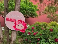 -北京市劳动人民文化宫(太庙)