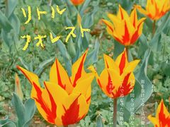 -大宁公园