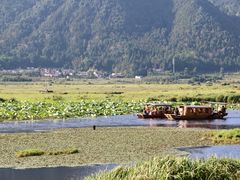 -腾冲北海湿地
