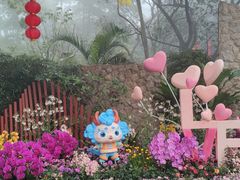 -广州市白云山风景名胜区