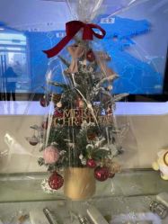 -痘博士天津·全国连锁祛痘机构