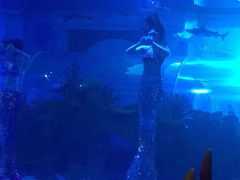 -成都浩海立方海洋公园