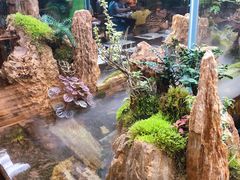 景观位-泰谷酒店·太古码头闽菜自助餐厅