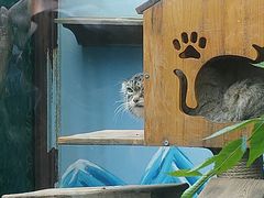 -青藏高原野生动物园