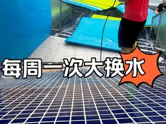 -龙格亲子游泳·水育早教运动中心(上虞钱江中心)