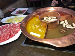 -老诚一锅羊蝎子(黄寺大街店)