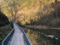 -磐安十八涡风景区