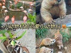 -大连森林动物园