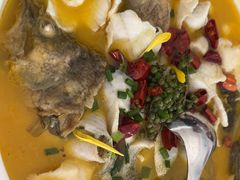 -YAFEE雅菲·粤菜·湘菜·融合菜(魏公村店)