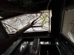 -古耳咖啡(北锣店)