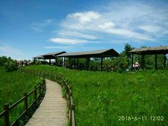 -野三坡百草畔景区