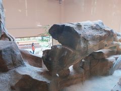 -宁波野生动物园