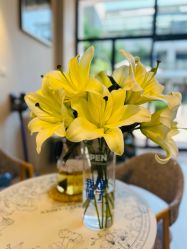 -YesYoga瑜伽普拉提塑形体雕馆