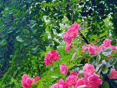 -大妙火锅·非物质文化遗产(东湖公园店)