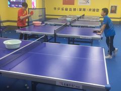 -乐旋乒乓球(深圳南油店)