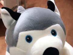 -海底捞火锅(苏宁生活广场店)