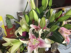 -吴山花鸟城-停车场