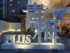 -青梅酒肆PLUS(长白仙岛北路店)