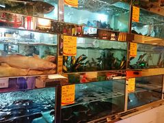 水产区-蜀滋香鲜鱼美蛙火锅(339店)