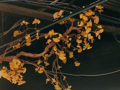 -京味斋·烤鸭·北京菜(安贞店)