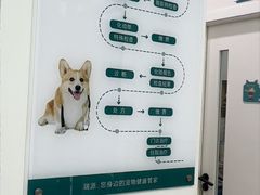 -瑞派康怡24h宠物医院·犬猫医疗中心·微创绝育(瑞景分院)