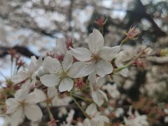 -杭州少年儿童公园