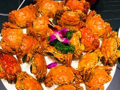 鱼露焗大闸蟹-小财神·老派赣州菜·中华美食地标(第五大道店)
