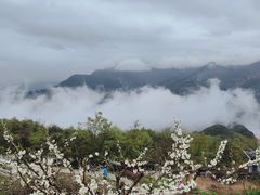 -九皇山景区