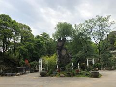 -贵州省植物园