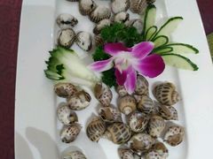 -聚春园闽都食府