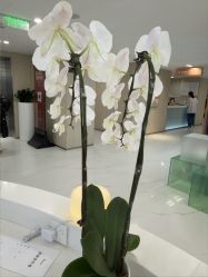 -Yestar艺星整形美容医院