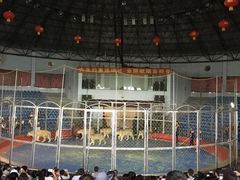 -西安秦岭野生动物园