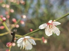 -艾溪湖湿地公园