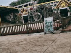 -贵州森林野生动物园