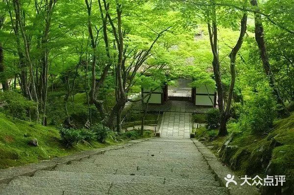 日式禅意庭院 | 走进，找到自己心灵的归宿[糖果]