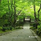 日式禅意庭院 | 走进，找到自己心灵的归宿[糖果]