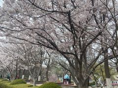 -大连植物园