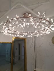 -潘多拉Hairsalon