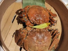 大闸蟹-蟹榭(静安寺晶品商场店)