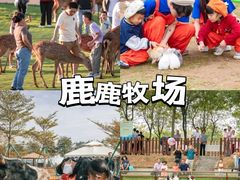 -盈香心动乐园