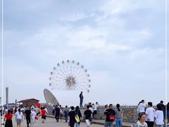 -奉贤海滩
