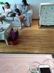 -谜秀韩式半永久纹眉纹绣洗眉