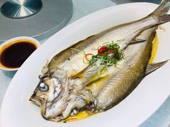 蒸太湖白鱼-乾园(恒隆广场店)