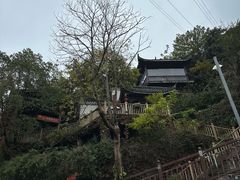 -巴倒烫陆派重庆火锅(南山店)
